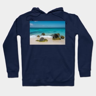 Arashi Beach in Aruba Hoodie